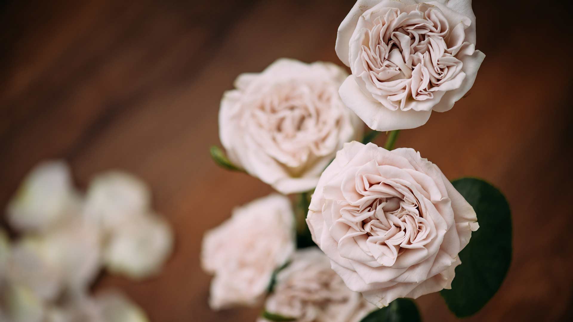 Event Planner & Floral Designer Michele Iovino a Trapani